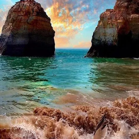 Apartment Beach Luxury